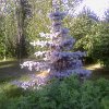 park (25)